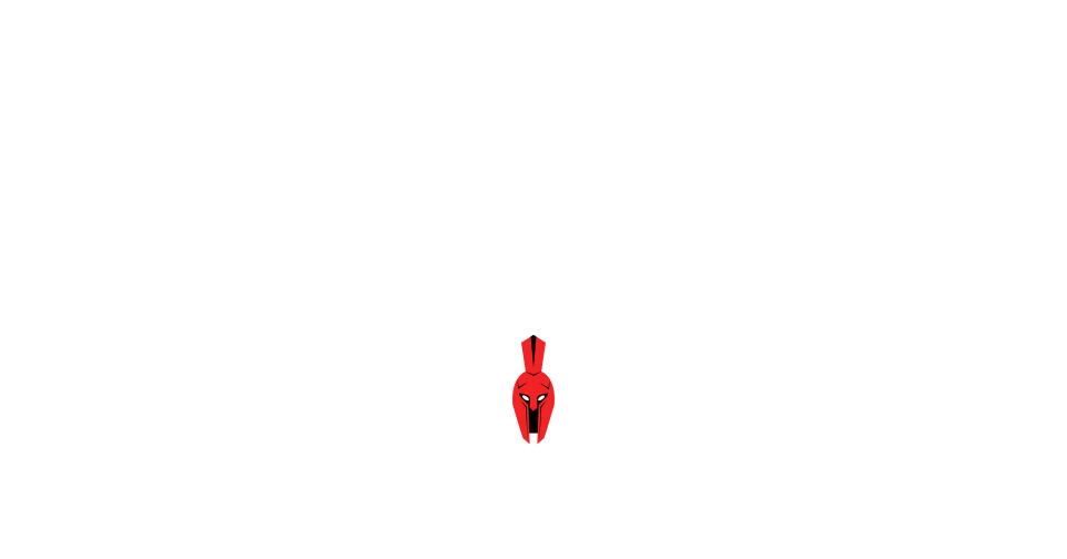 Nemesis Basketball